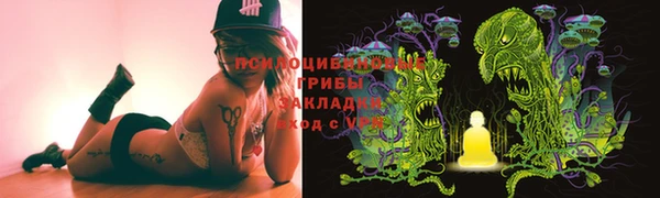 индика Магадан