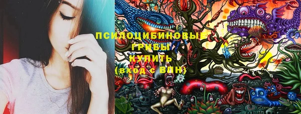 индика Магадан