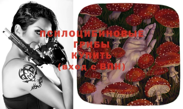 индика Магадан