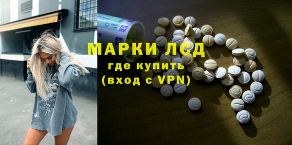 тгк Магас